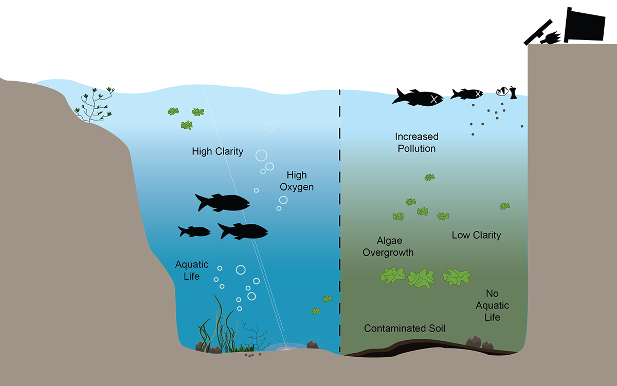 Water quality illustration